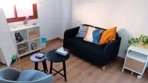 La consulta