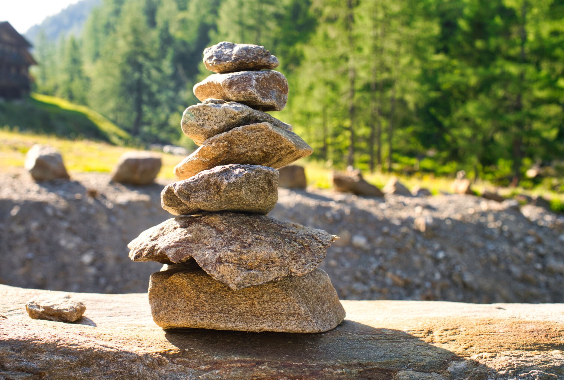 Mindfulness en la Vida Cotidiana: Presencia en lo Pequeño